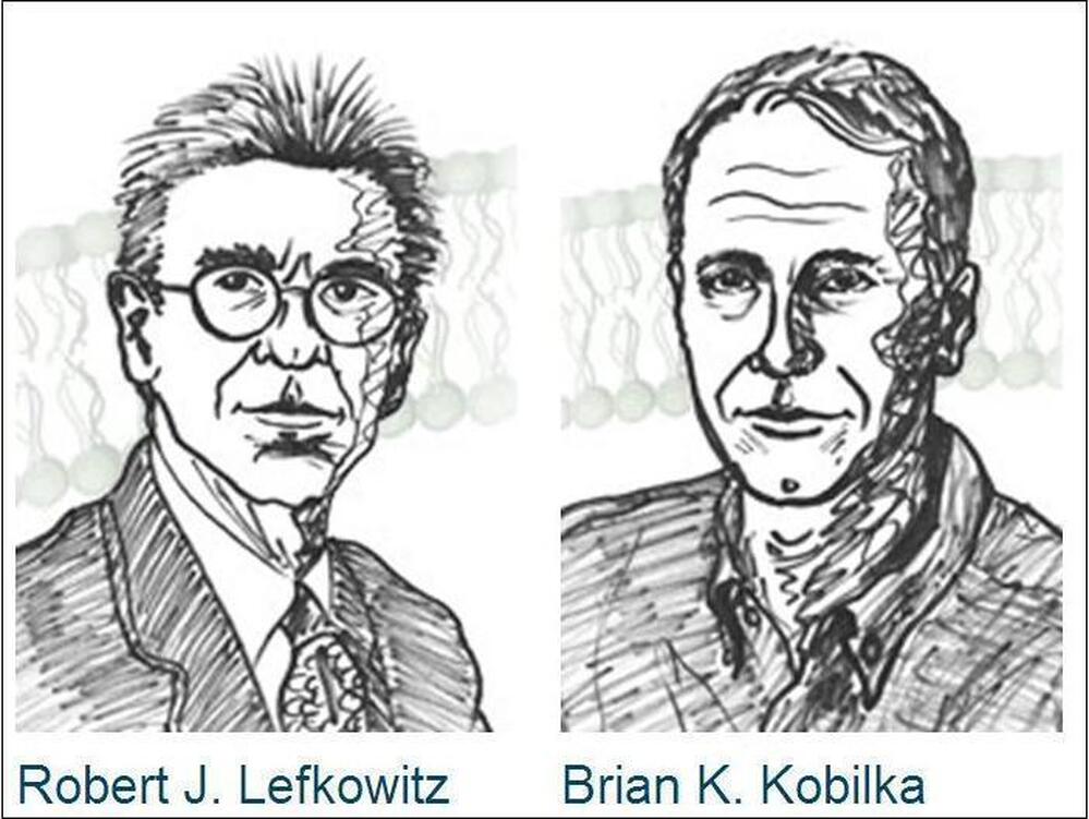 This year's winners of the Chemistry Nobel: Robert Lefkowitz (left) and Brian Kobilka.