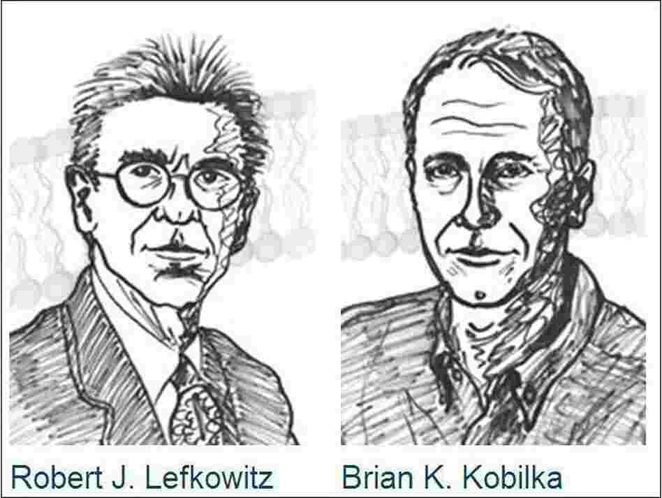 This year's winners of the Chemistry Nobel: Robert Lefkowitz (left) and Brian Kobilka.