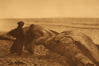A small humpback whale at Neah Bay on the upper northwest tip of Washington state. The people are identified by Curtis as