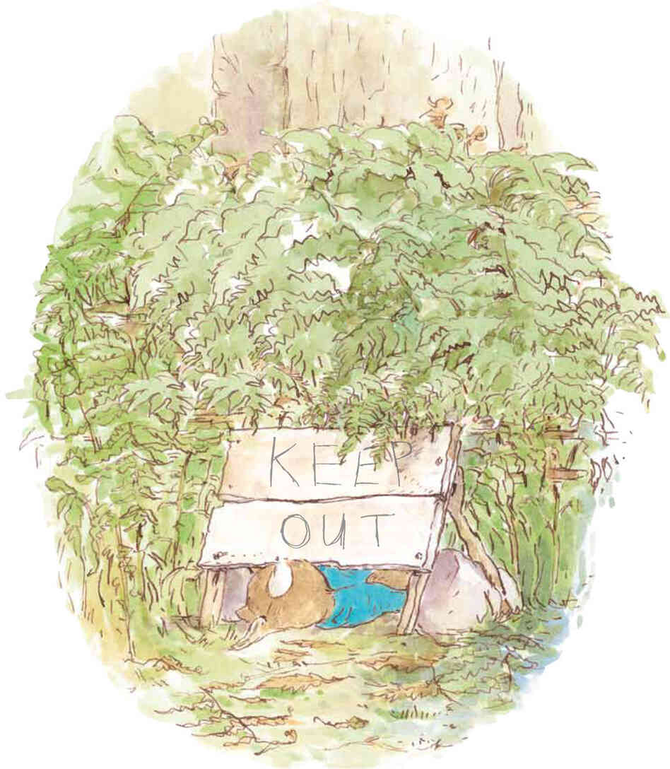 Thompson preserves Peter Rabbit's reputation for breaking the rules.