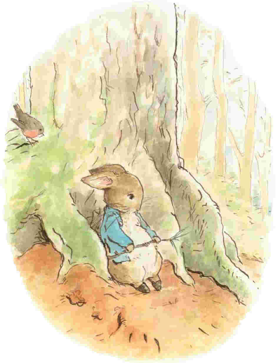 In Emma Thompson's new book, Peter Rabbit decides he needs a change of scene to cure his mopey mood.