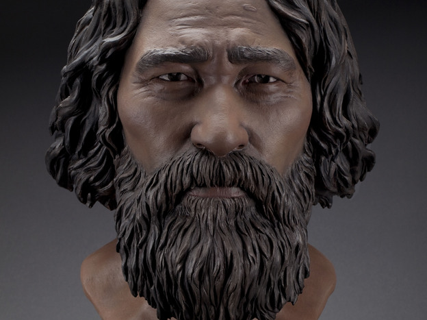 Forensic artists think this is what Kennewick Man looked like. (Courtesy of Doug Owsley )