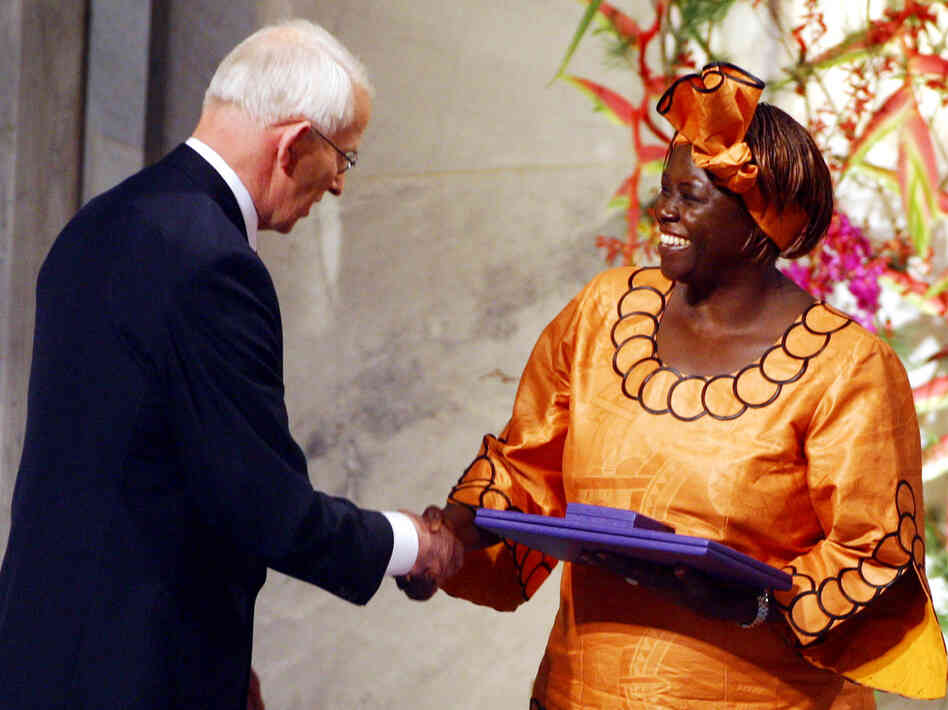 Nobel Peace Prize Laureate Wangari Maathai became the first African woman to win a Nobel in 2004.