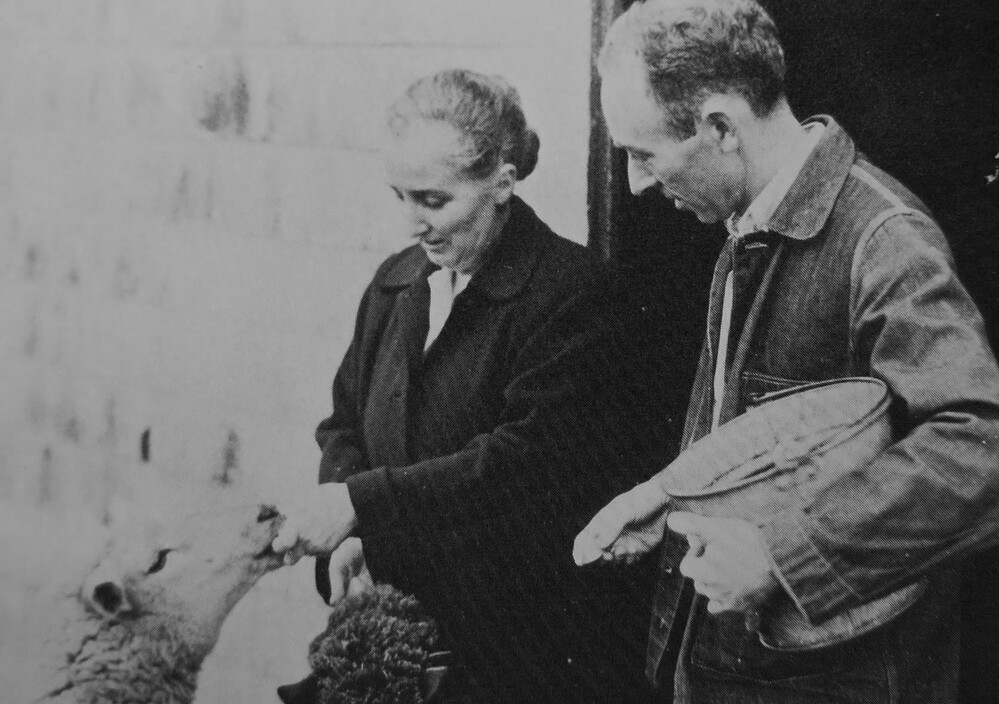 E.B. White and his wife, Katharine Angell, feed sheep on their Maine farm.