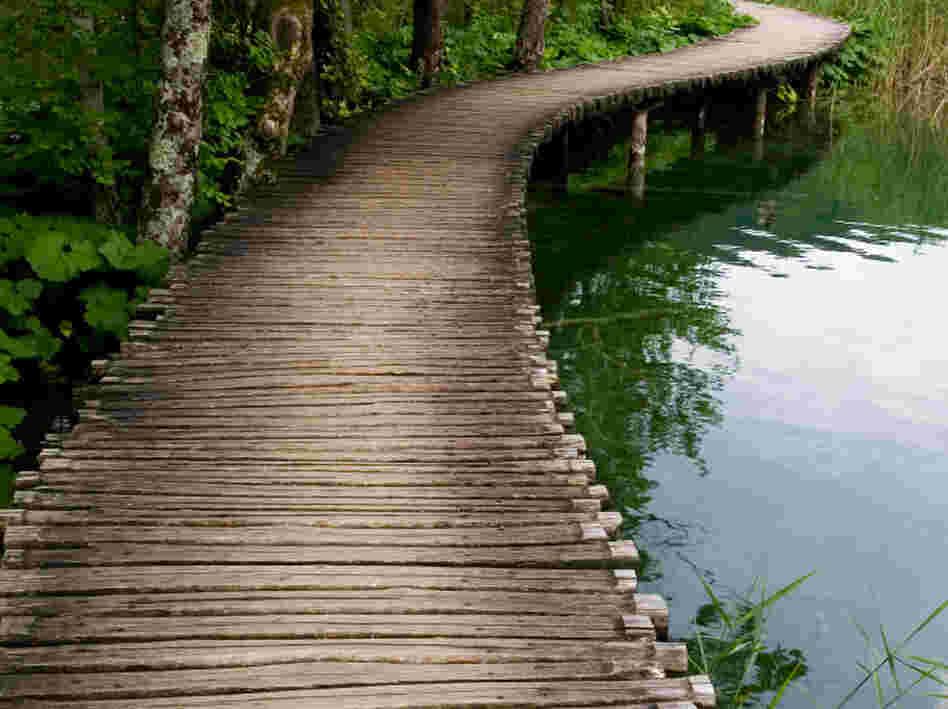 walking path