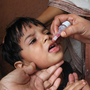 An Indian child receives the oral polio vaccine. Twice a year, an army of 2 million volunteers fans out across India to administer the vaccine. India has not reported a single case of polio in more than a year-and-a-half.