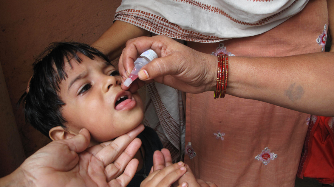 An Indian child receives the oral polio vaccine. Twice a year, an army of 2 million volunteers fans out across India to administer the vaccine. India has not reported a single case of polio in more than a year-and-a-half.