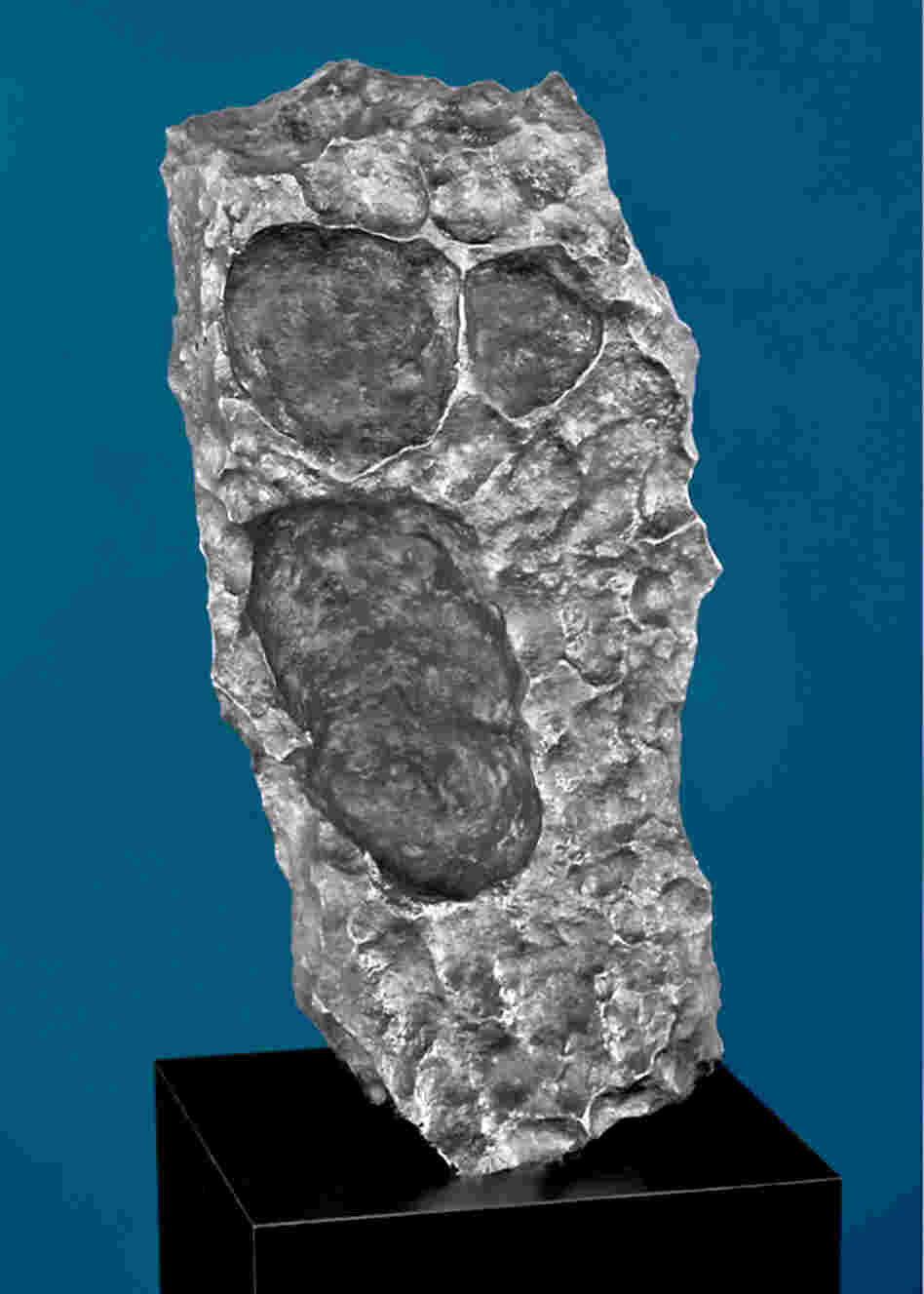 The Scream? Meteorites can take oddly familiar shapes. This one has echoes of Edvard Munch's famous painting. The Gibeon meteorite chunk was found in Namibia. Estimated price: $175,000-$225,000. The Scream? Meteorites can take oddly familiar shapes. This one has echoes of Edvard Munch's famous painting. The Gibeon meteorite chunk was found in Namibia. Estimated price: $175,000-$225,000.