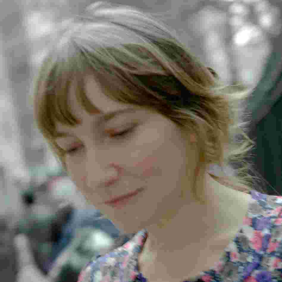 Sheila Heti is also the author of Ticknor. Sheila Heti is also the author of Ticknor.