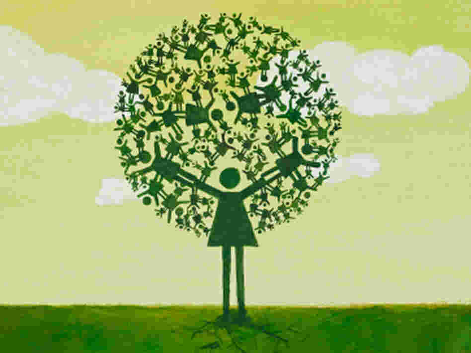 A family tree A family tree