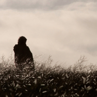 Field photo