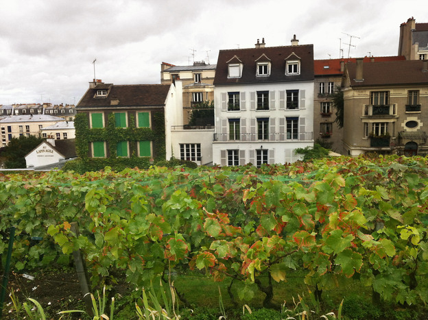 Clos Montmartre is about the size of a city block.