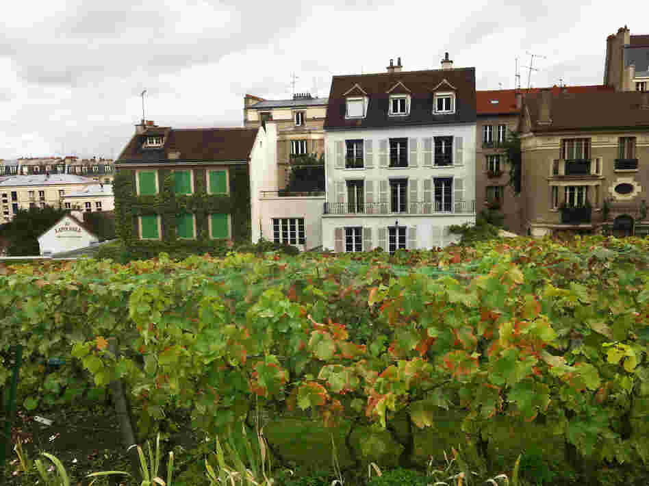 Clos Montmartre is about the size of a city block.