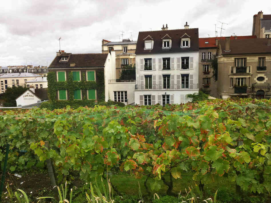Clos Montmartre is about the size of a city block.