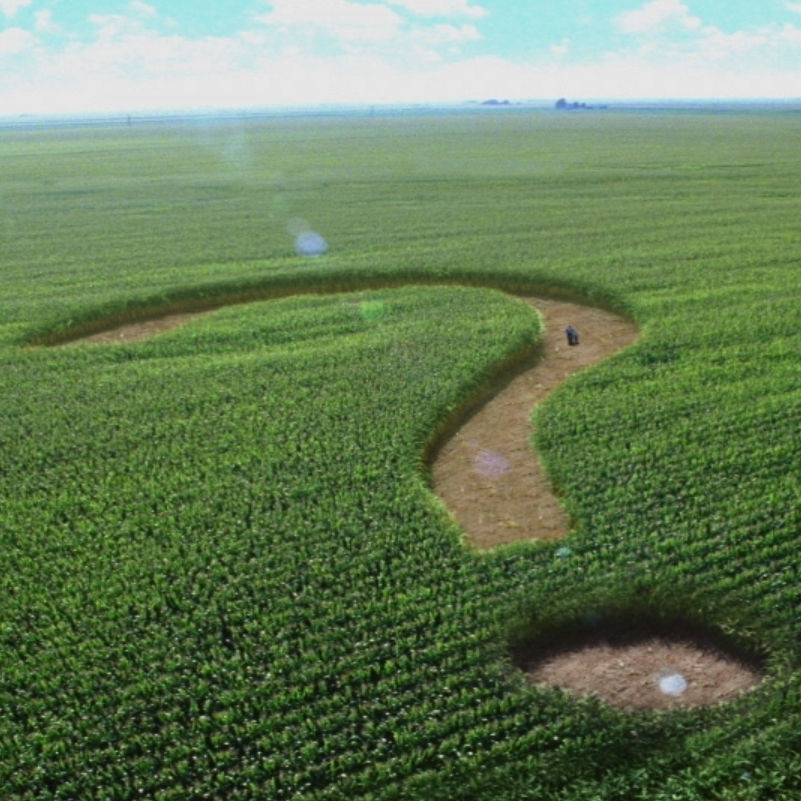 A corn maze shaped like a question mark.
