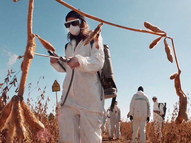 Many folks protest Monsanto's business practices, like this Greenpeace protester spraying paint on a company research soybean field in Iowa.