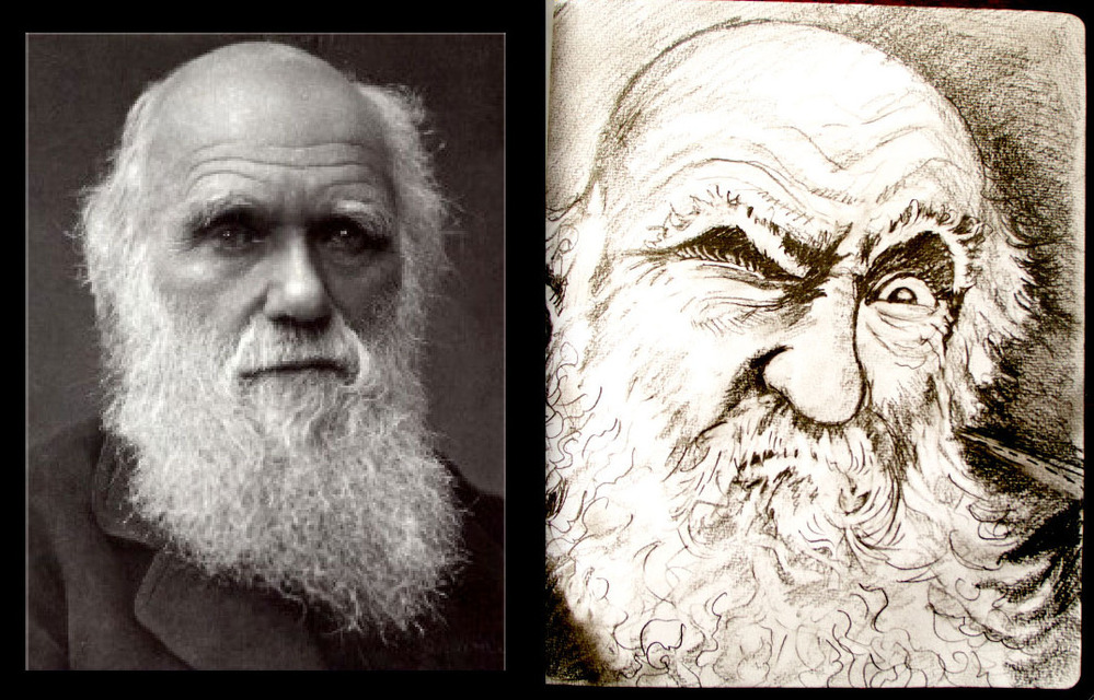 Charles Darwin diptych