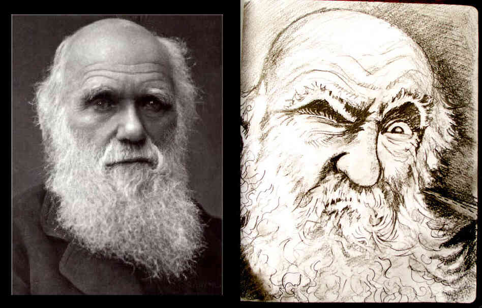 Charles Darwin diptych