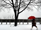 Jan. 21, 2012: A winter scene in Brooklyn, N.Y. Snow may be a relatively rare sight this coming winter in the U.S. Jan. 21, 2012: A winter scene in Brooklyn, N.Y. Snow may be a relatively rare sight this coming winter in the U.S.