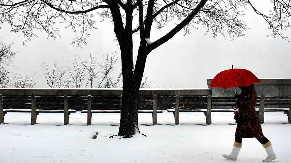 Jan. 21, 2012: A winter scene in Brooklyn, N.Y. Snow may be a relatively rare sight this coming winter in the U.S.