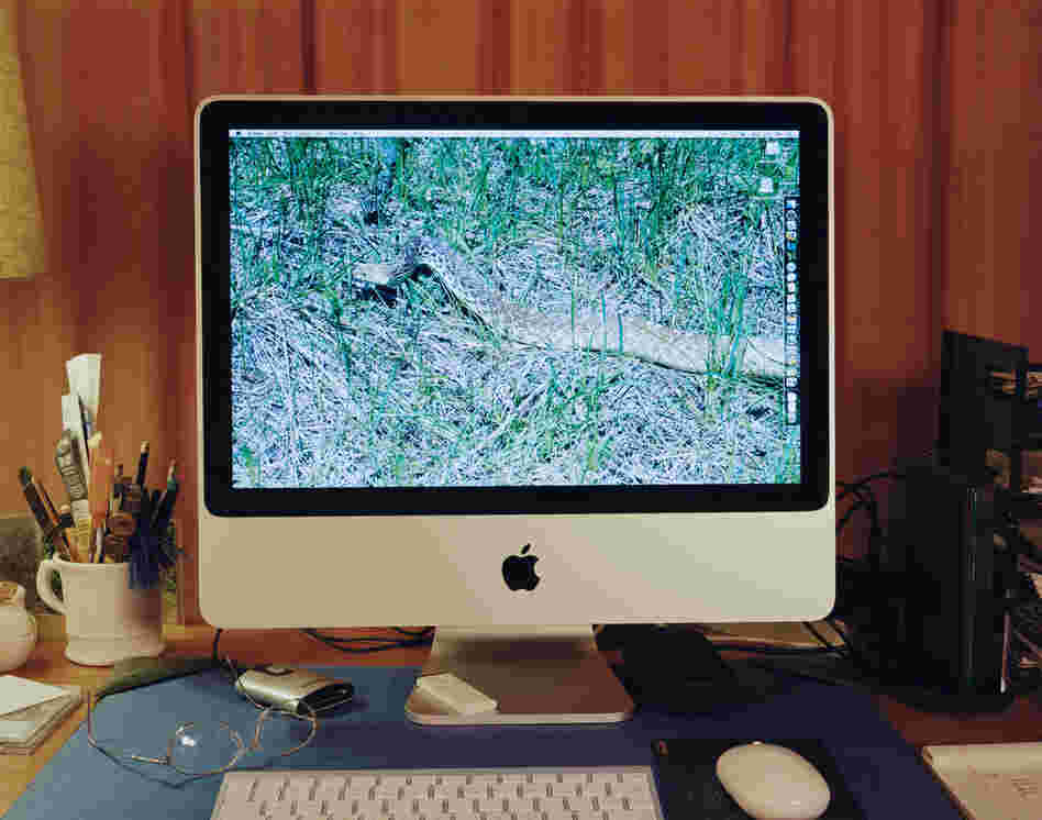 L.L.G Desktop 2008