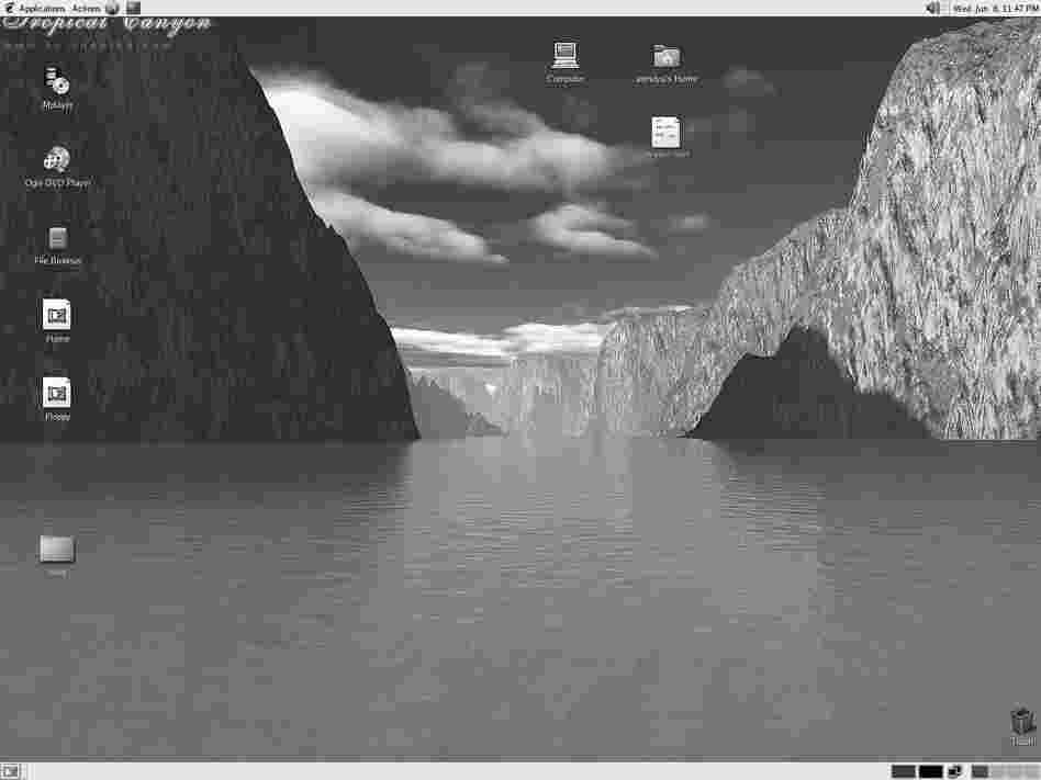 Meggan Gould's early work involved getting a screenshot, inverting it, printing the image on a transparency, then making a print in the darkroom. This image is from 2005. She now uses a 4x5 view camera.