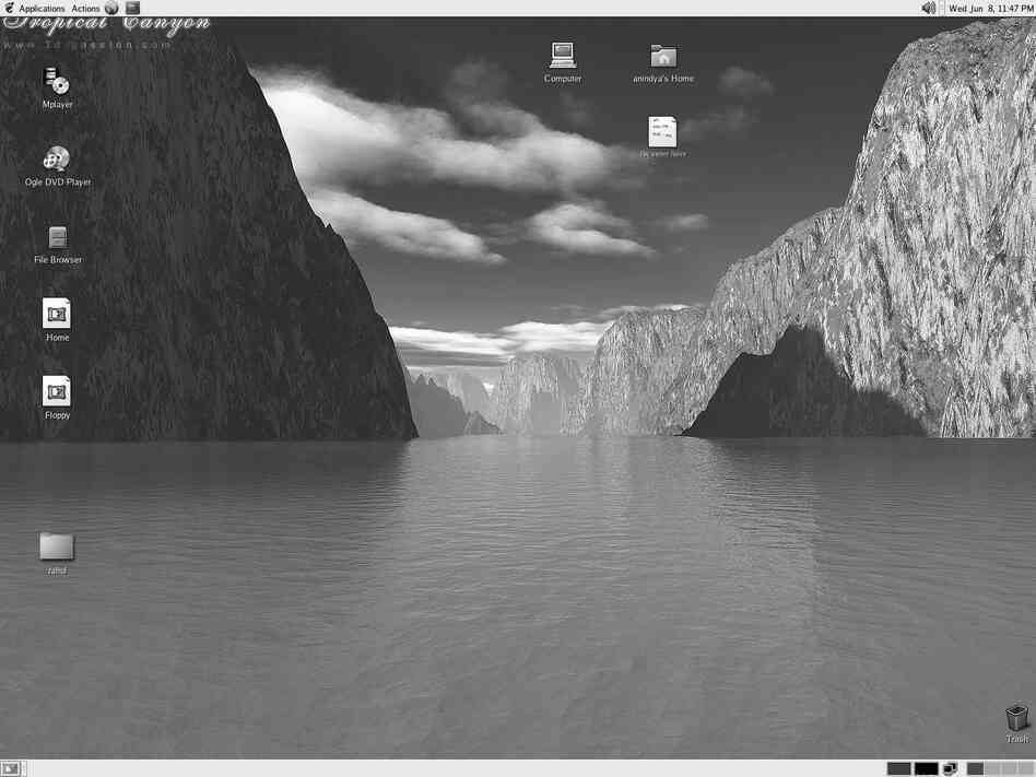 Meggan Gould's early work involved getting a screenshot, inverting it, printing the image on a transparency, then making a print in the darkroom. This image is from 2005. She now uses a 4x5 view camera.