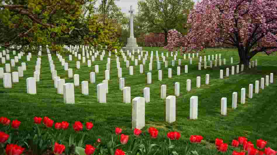 Headstones in Arlington National Cemetery last March. The new online database should make it easier to find specific graves.