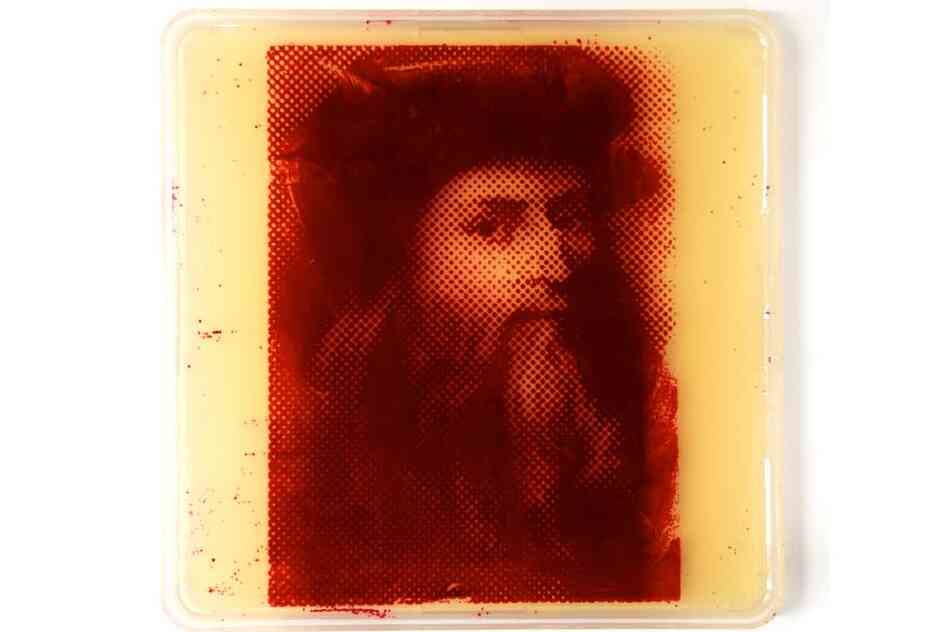 davinci.jpg