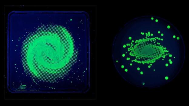 Copfer's first "bacteriographs" were images of galaxies.