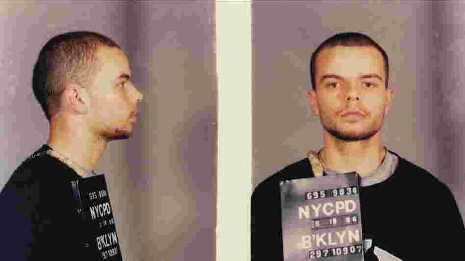 Andersen's three felonies and difficult past are used as creative fodder in Lemon.