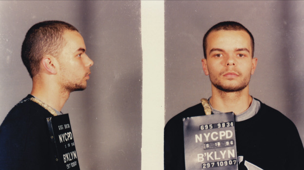Andersen's three felonies and difficult past are used as creative fodder in Lemon.