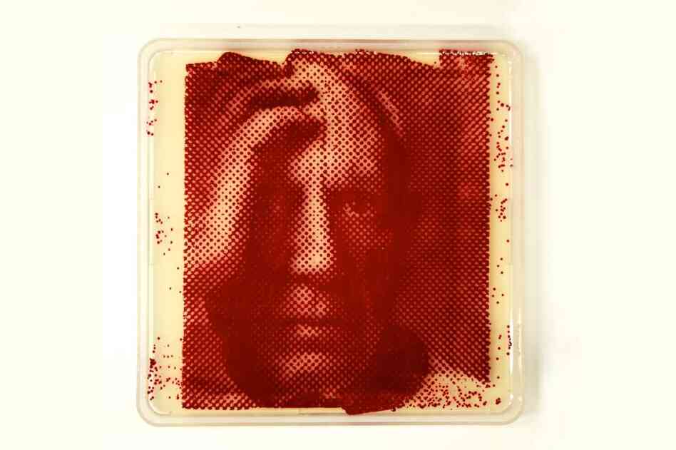 picasso.jpg