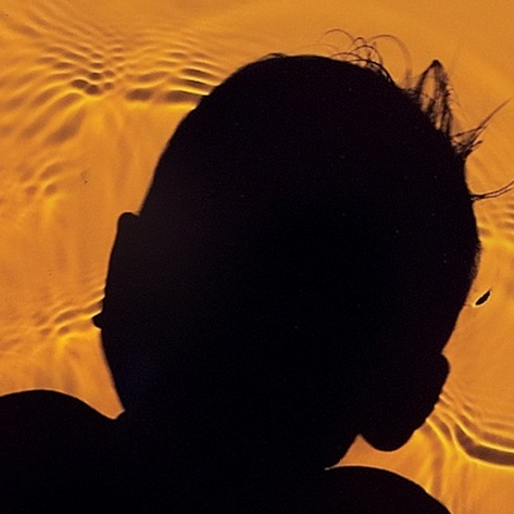 cover image from Far From the Tree