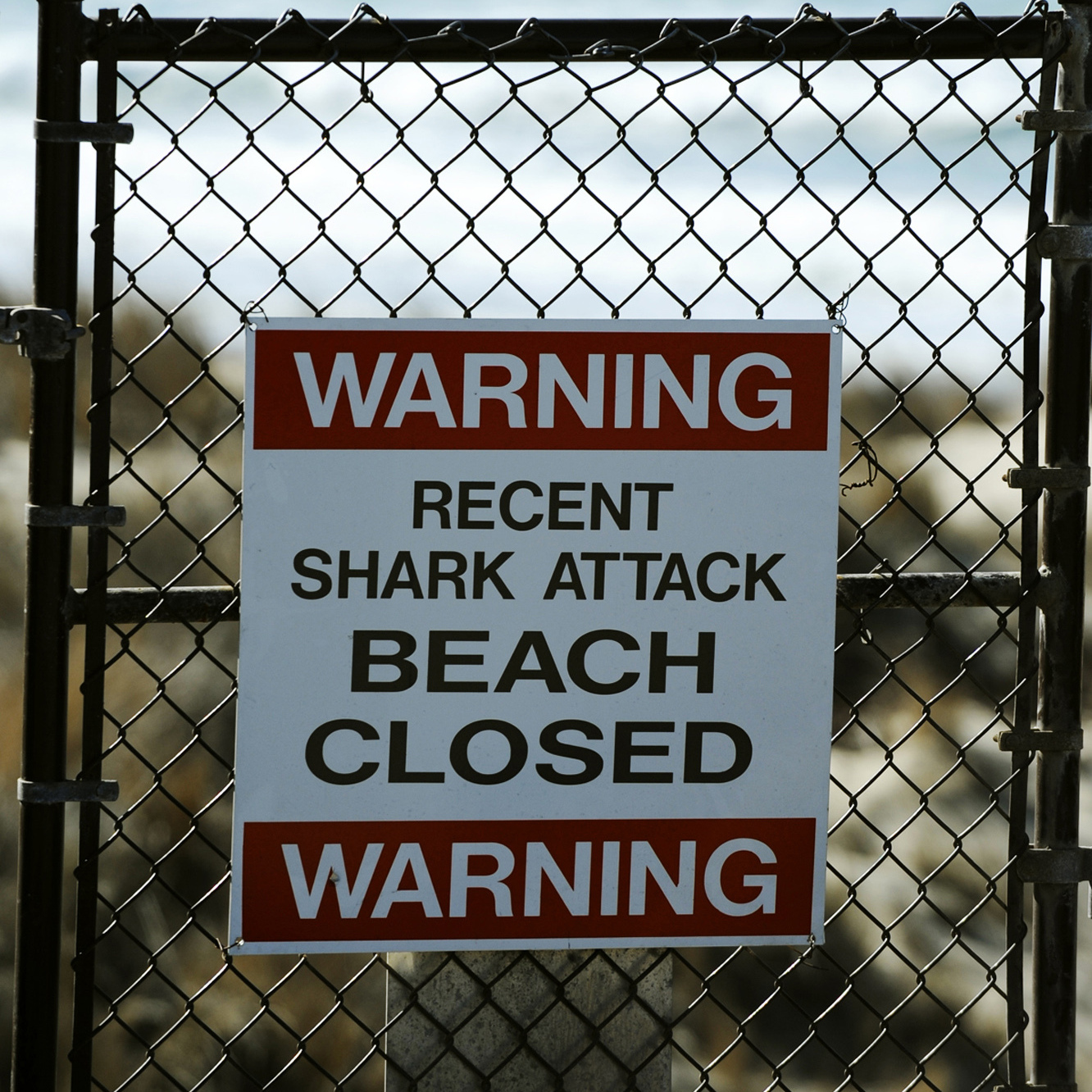 The beach is closed near Vandenberg Air Force Base after Tuesday's shark attack. The beach is closed near Vandenberg Air Force Base after Tuesday's shark attack.