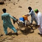 Health workers transport the polio vaccine by donkey in southeastern Pakistan. Health workers transport the polio vaccine by donkey in southeastern Pakistan.