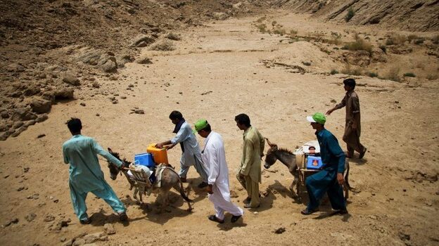 Health workers transport the polio vaccine by donkey in southeastern Pakistan.