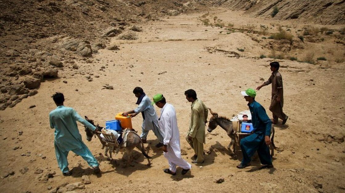 Health workers transport the polio vaccine by donkey in southeastern Pakistan.