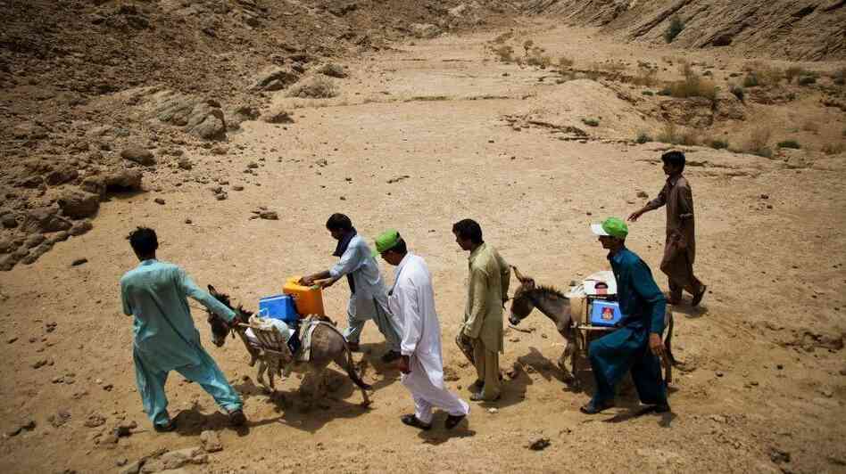 Health workers transport the polio vaccine by donkey in southeastern Pakistan.