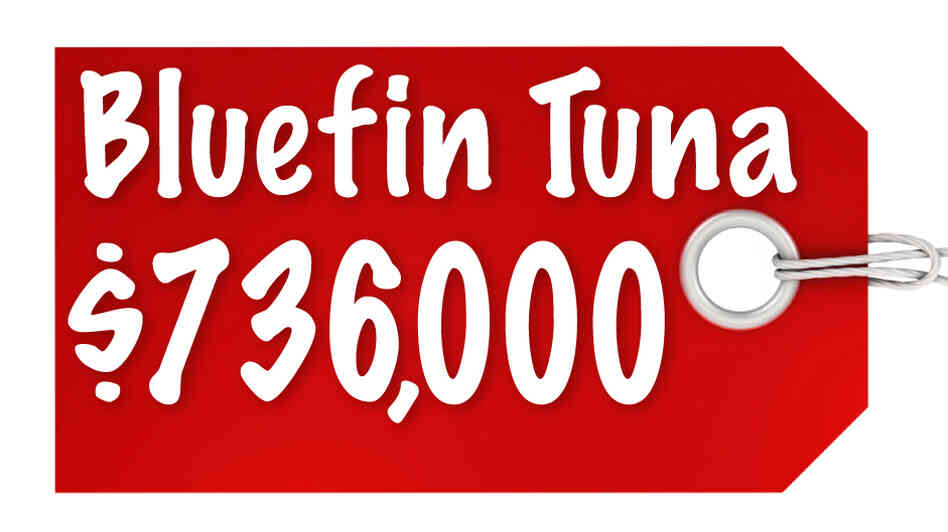 Bluefin Tuna $736,000 Bluefin Tuna $736,000