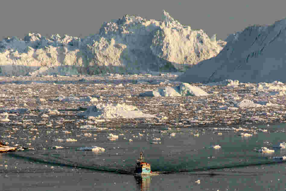 A boat skims through the melting ice in the Ilulissat fiord, on the western coast of Greenland, in 2008. The glacier is the most active in the Northern Hemisphere, producing 10 percent of Greenland's icebergs, or some 20 million tons of ice per day. But experts say the glacier is in bad shape because of climate change. A boat skims through the melting ice in the Ilulissat fiord, on the western coast of Greenland, in 2008. The glacier is the most active in the Northern Hemisphere, producing 10 percent of Greenland's icebergs, or some 20 million tons of ice per day. But experts say the glacier is in bad shape because of climate change.