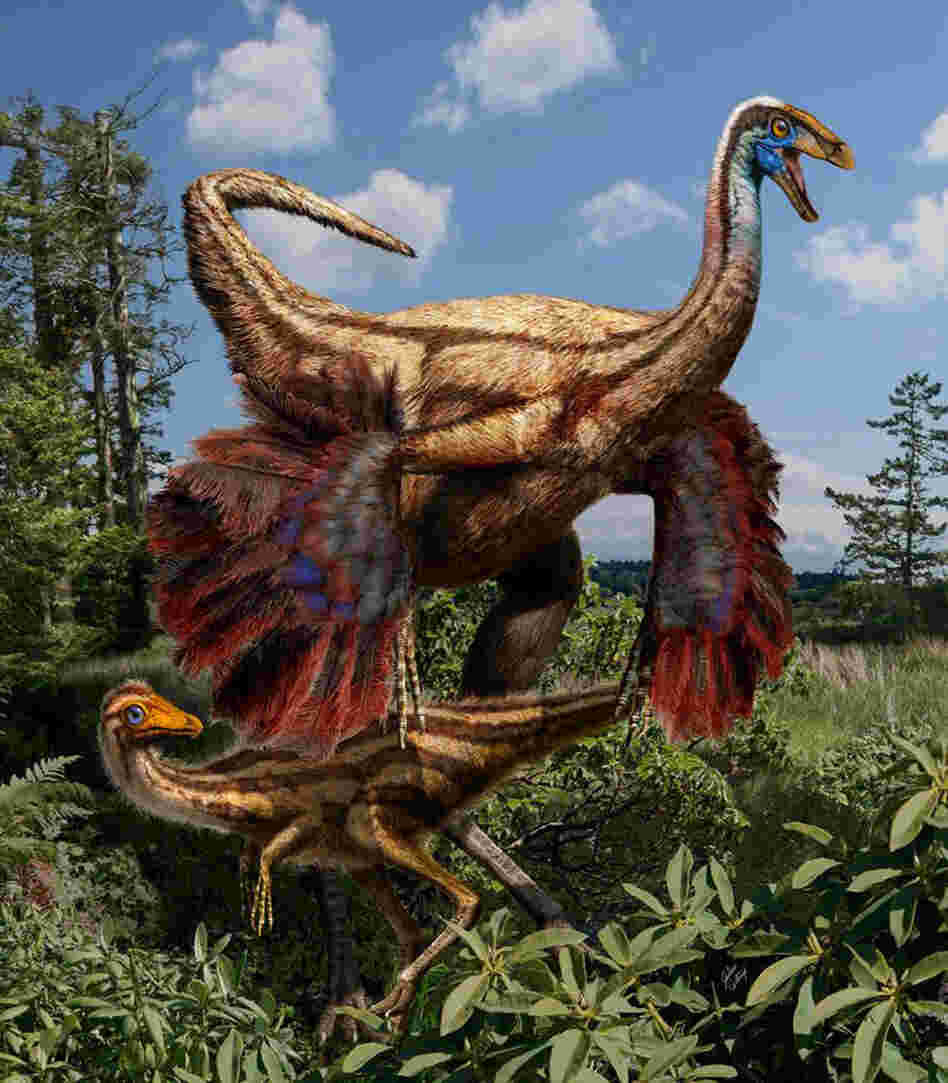 This artistic interpretation shows an adult and juvenile feathered ornithomimid dinosaurs. This artistic interpretation shows an adult and juvenile feathered ornithomimid dinosaurs.