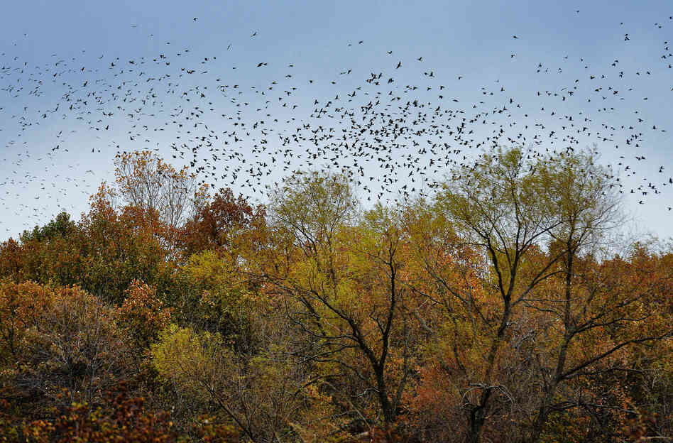 The Ho-Chunk Indians still consider the river to be sacred, and it's easy to feel that calm, floating along the Bark.
