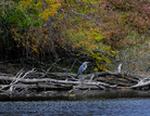 The Bark winds through southeastern Wisconsin's "Kettle Moraine" — small hills called drumlins and deep glacial lakes known as kettles. It's part of the Mississippi watershed. The Bark winds through southeastern Wisconsin's "Kettle Moraine" — small hills called drumlins and deep glacial lakes known as kettles. It's part of the Mississippi watershed.
