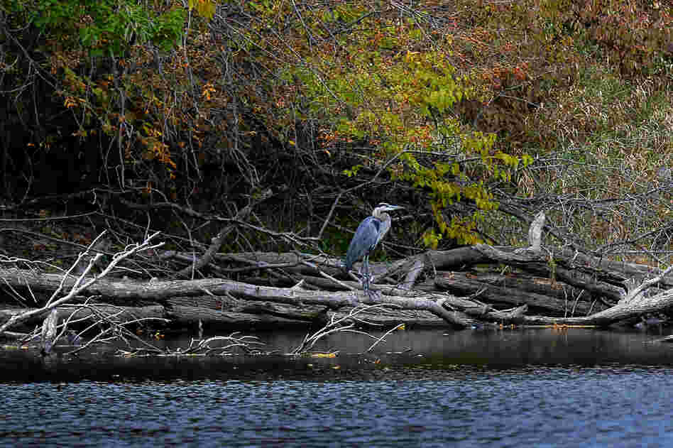 The Bark winds through southeastern Wisconsin's "Kettle Moraine" — small hills called drumlins and deep glacial lakes known as kettles. It's part of the Mississippi watershed. The Bark winds through southeastern Wisconsin's "Kettle Moraine" — small hills called drumlins and deep glacial lakes known as kettles. It's part of the Mississippi watershed.