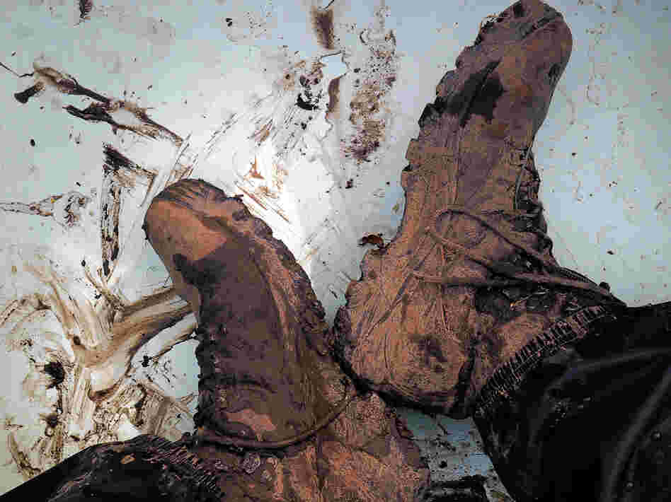 The Bark has some muddy shorelines, but it also has "shaking ground," soil that looked solid but is actually afloat. This is called "terre tremblant," or shaking ground. It hindered U.S. troops during the Black Hawk Indian War of 1832, as it continues to do with contemporary explorers. The Bark has some muddy shorelines, but it also has "shaking ground," soil that looked solid but is actually afloat. This is called "terre tremblant," or shaking ground. It hindered U.S. troops during the Black Hawk Indian War of 1832, as it continues to do with contemporary explorers.