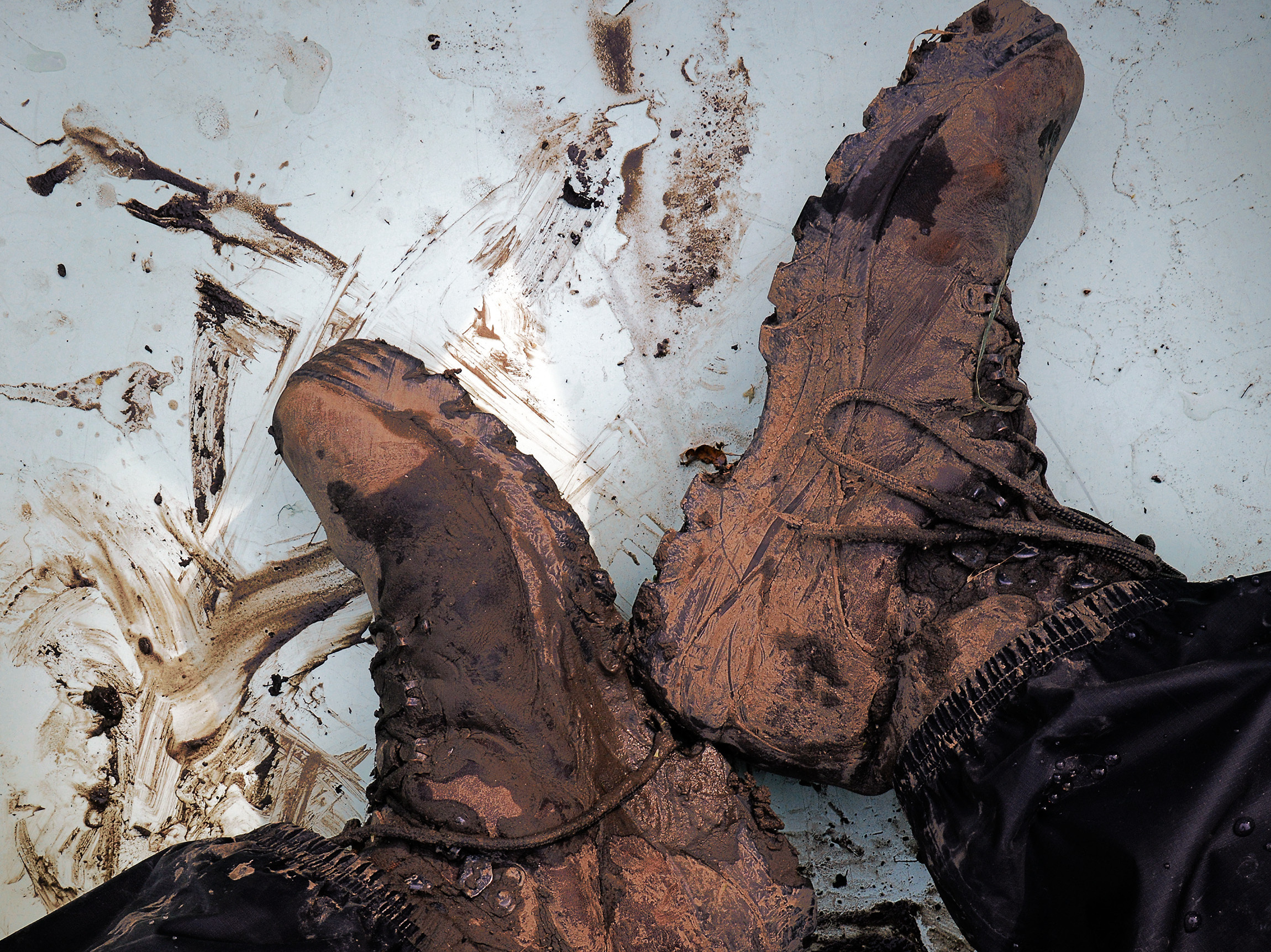 The Bark has some muddy shorelines, but it also has "shaking ground," soil that looked solid but is actually afloat. This is called "terre tremblant," or shaking ground. It hindered U.S. troops during the Black Hawk Indian War of 1832, as it continues to do with contemporary explorers.
