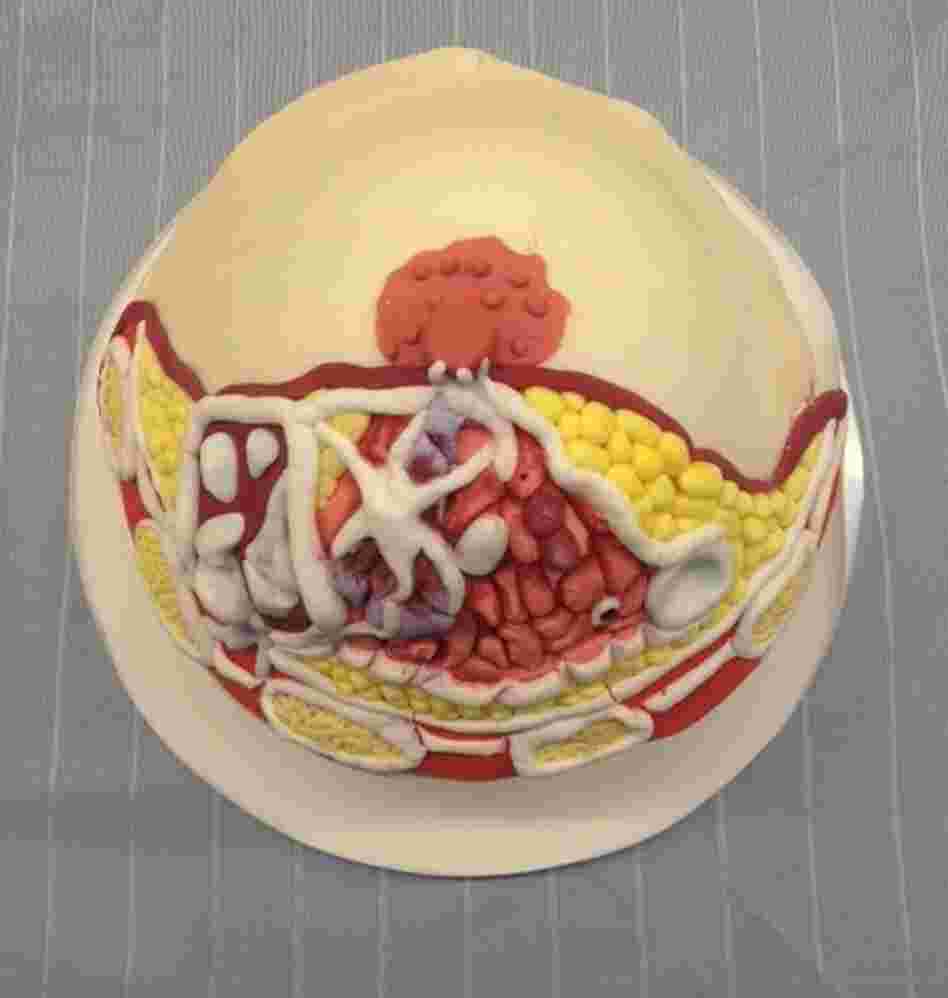 What a boob: A cupcake by cakemaker "Miss Insomnia Tulip" draws inspiration from breast diagrams in educational pathology.