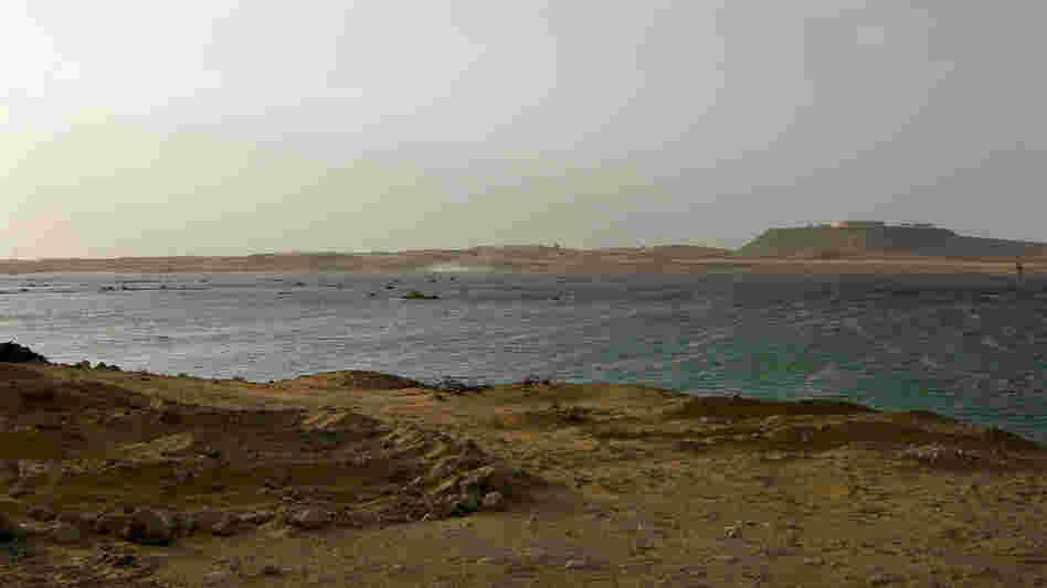 After desalinated water was pumped inland from the Persian Gulf, an oasis has appeared in the middle of the desert in the United Arab Emirates.
