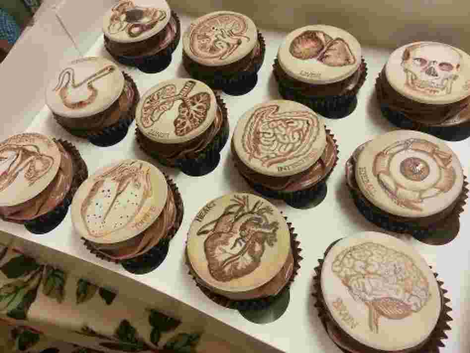 A Pathologist's Dozen: This set of twelve cupcakes by Tattoo Cakes depict historical illustrations of human anatomy. 